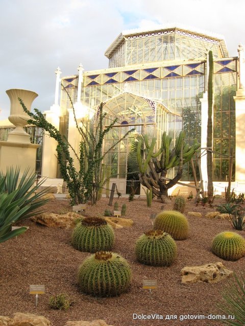 Botanic Garde12.jpg