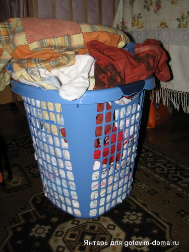 IMG_6537.jpg