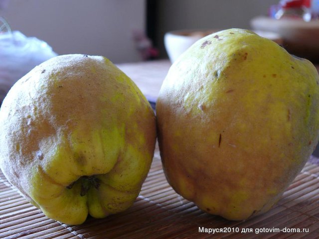 P1080516.JPG
