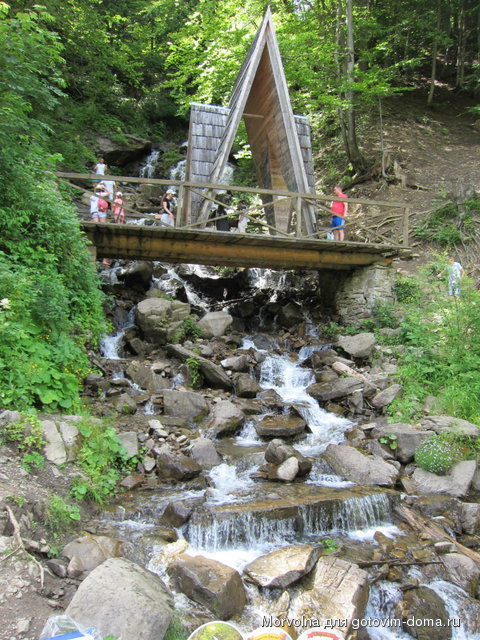 IMG_9568.JPG