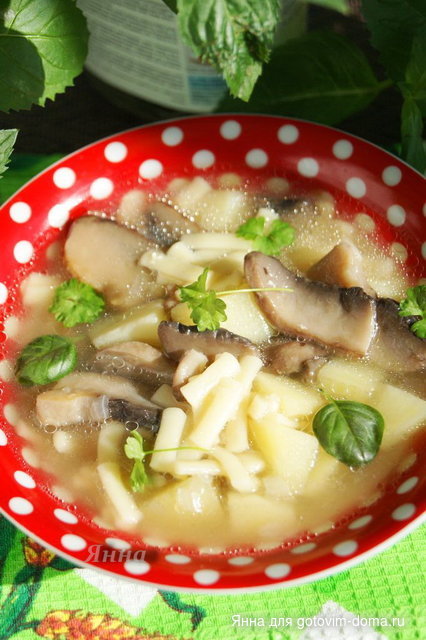Синкапур-грибной суп с лапшой.jpg