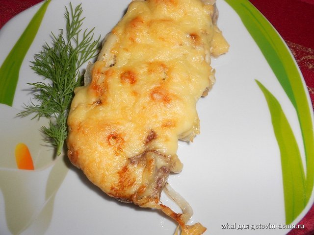 DSCN6803.JPG