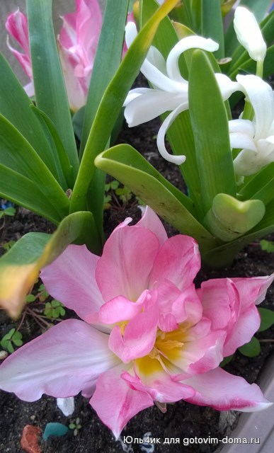 WP_20160324_009.jpg