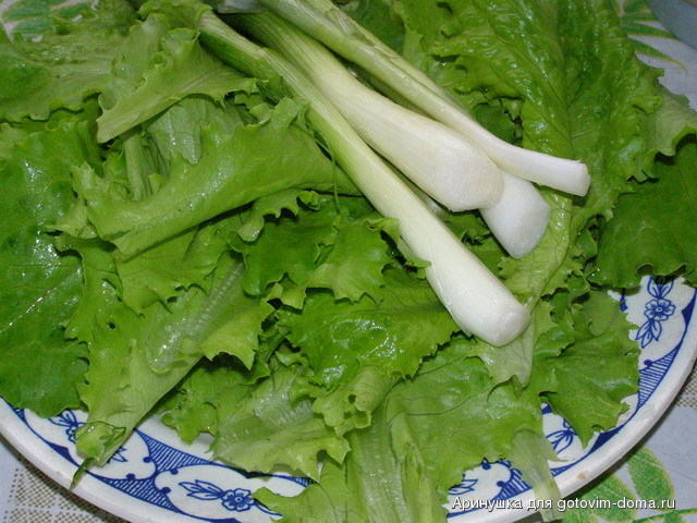 P5280846.jpg