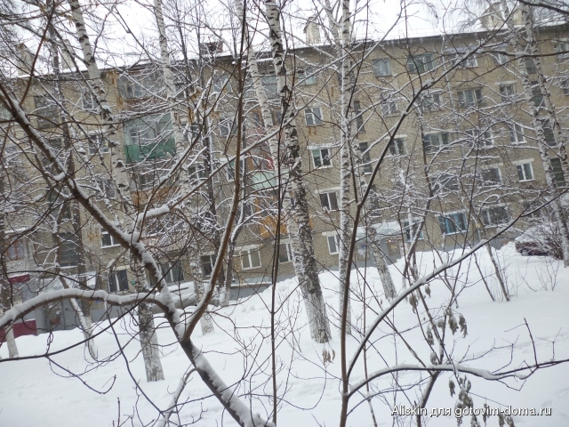 210320121.jpg