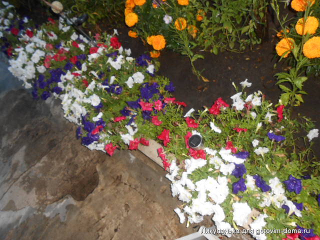 DSCN1191.JPG