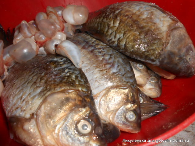 DSCN1695.JPG
