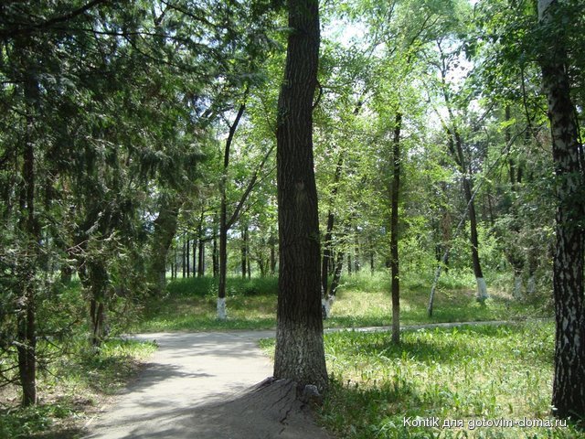 DSC05352.JPG