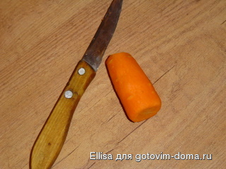 510.jpg