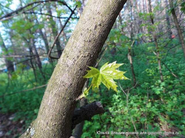 DSCN5243.JPG