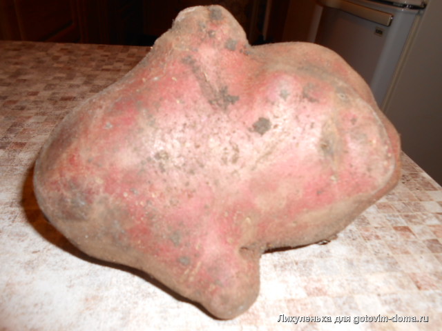 DSCN8208.JPG
