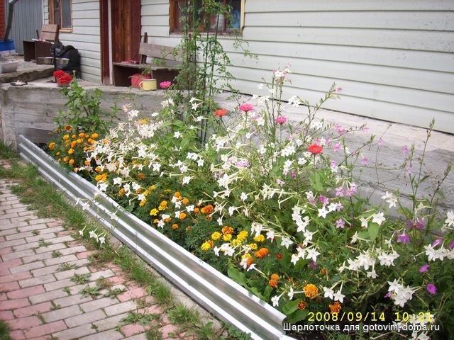 SPA55958.JPG