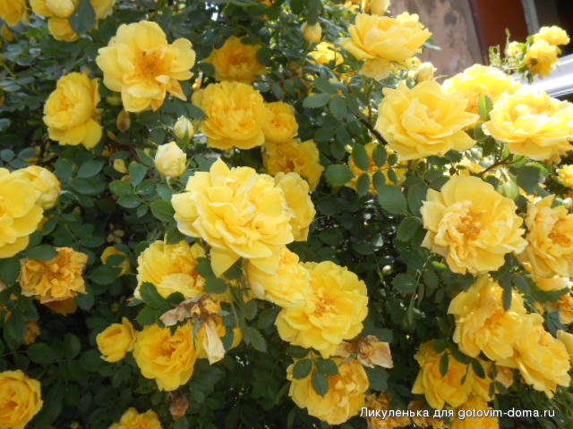 DSCN9774.JPG