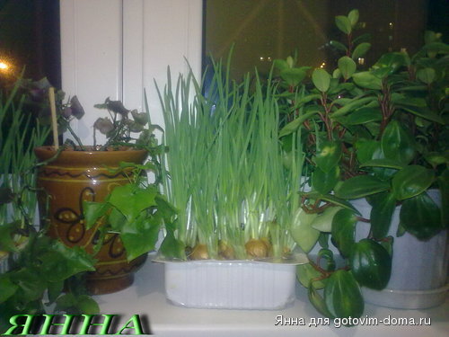 08022010072.jpg