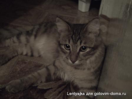 PICT0019.JPG
