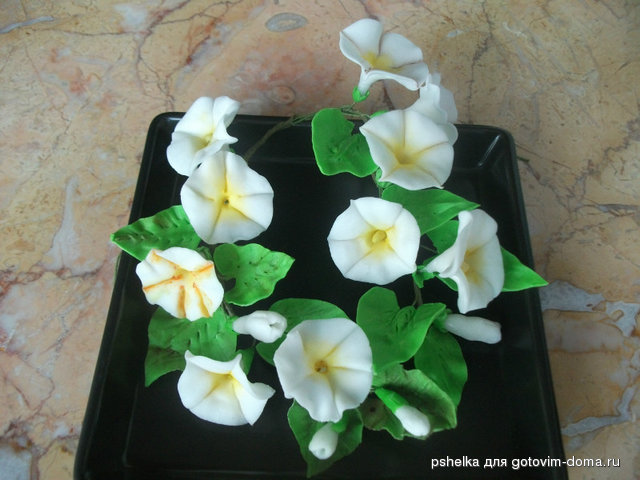 DSCF2248.JPG