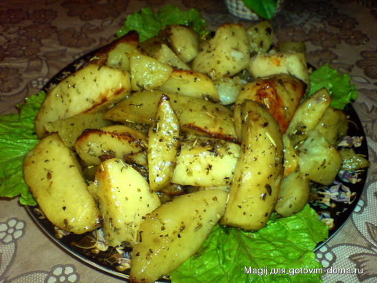 DSC02578.JPG