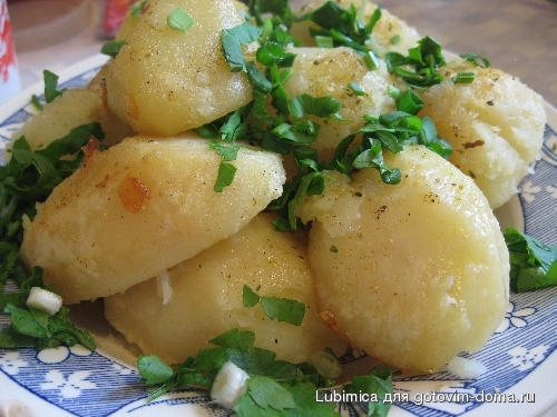 картошка поколение.jpg