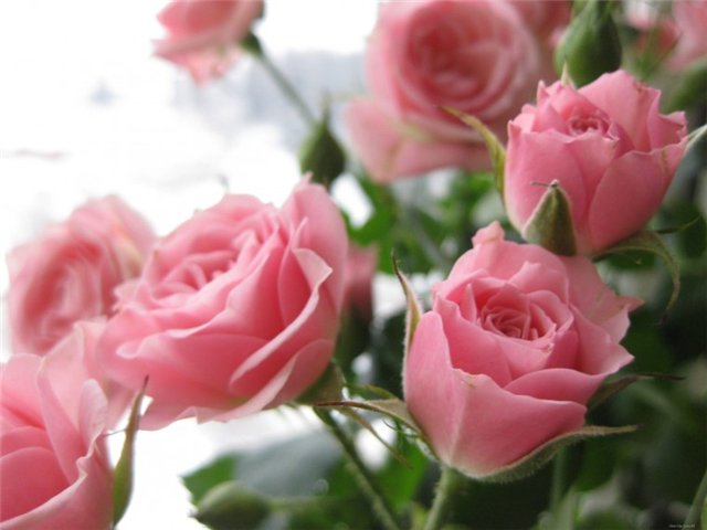 a9c85141e67b.jpg