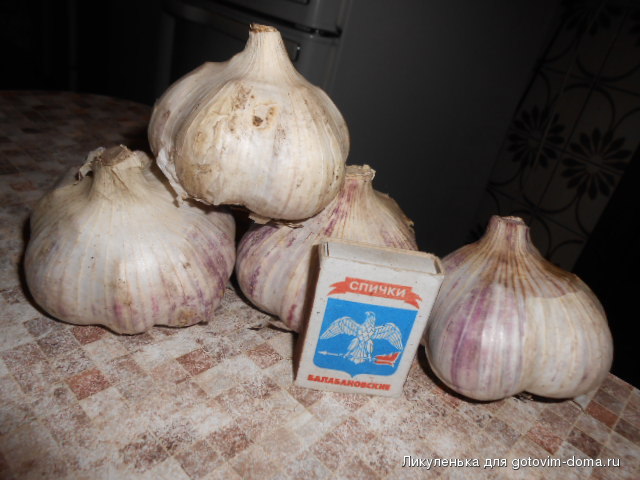 DSCN6765.JPG