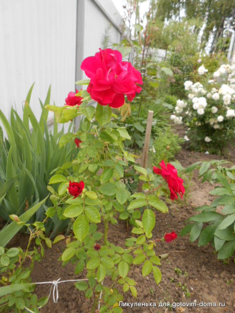 DSCN0099.JPG