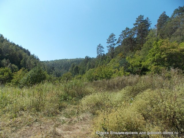 DSCN0025.jpg