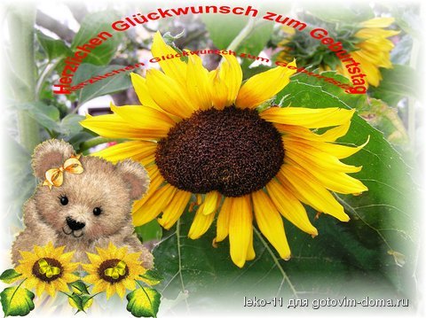 kg5PZG2EN3W028737_34102.jpg