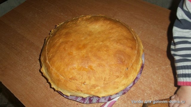 IMG_20161105_130139_1.jpg