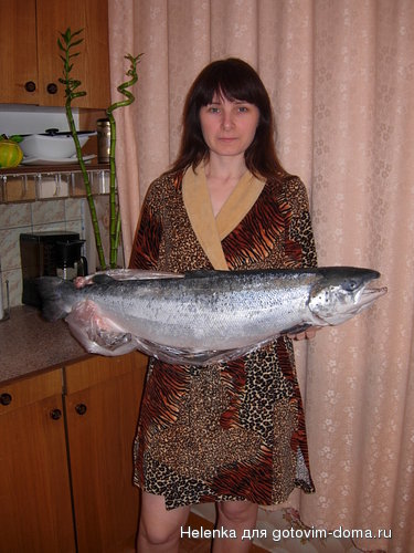 _улов.JPG