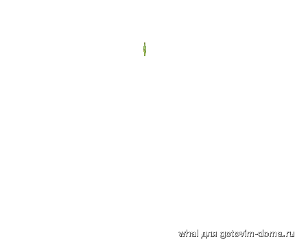 704467202.gif