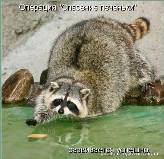 404479    pe4enka.jpg