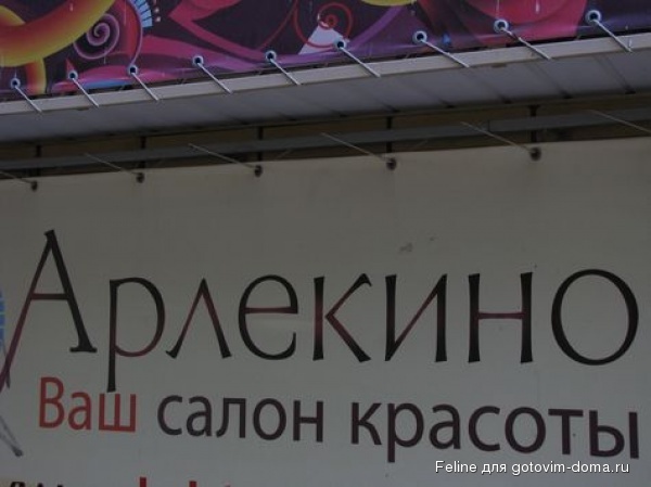 3131555-R3L8T8D-600-DETAIL_PICTURE__74484620.jpg