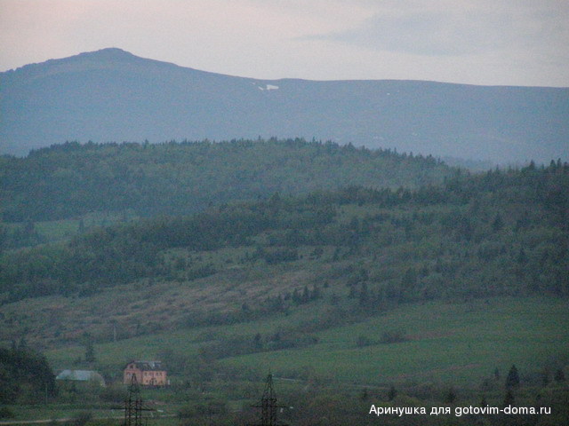 P5010132.jpg