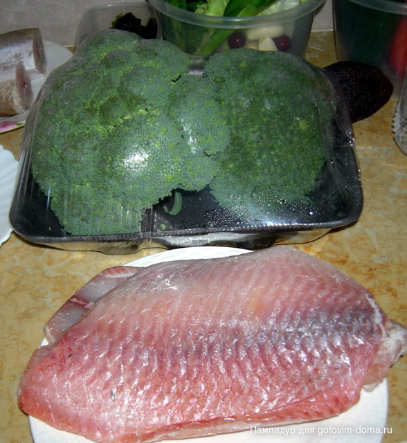 DSCN0297.JPG