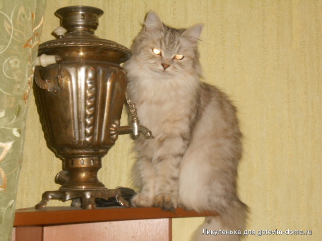 DSCN2101.JPG