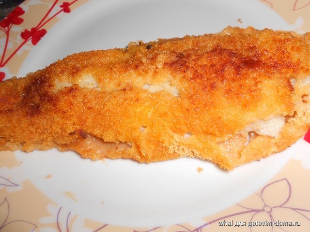 DSCN6506.JPG