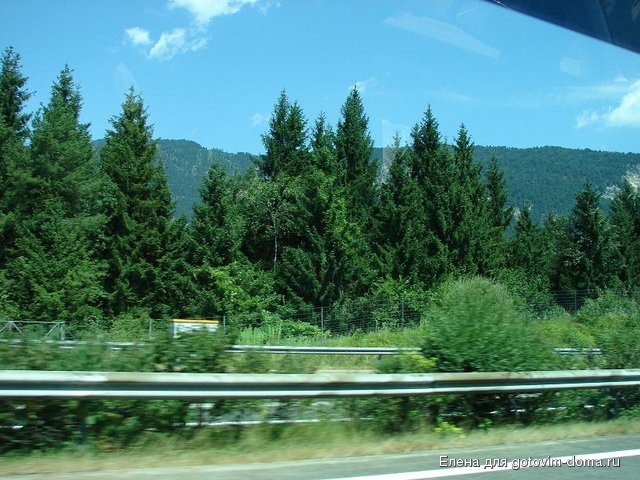 DSC00550.JPG