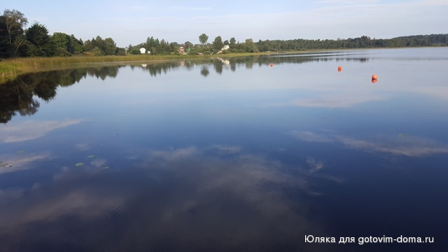 20160731_064102.jpg