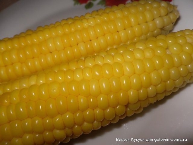 кукуруза.jpg