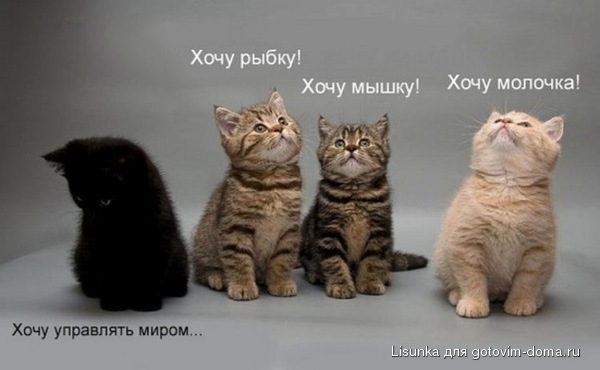 000dppt1kotjata.jpg