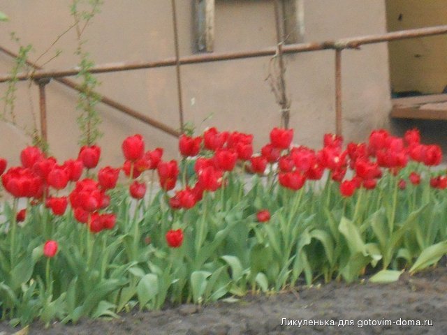 DSCN1812.JPG