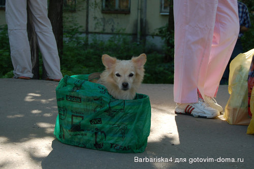 в сумке.jpg