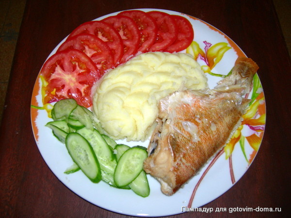 DSCN8311.JPG