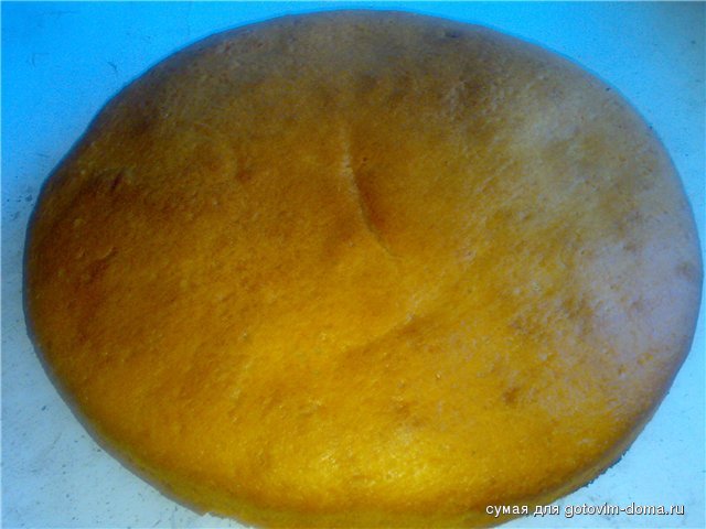 39f3ec70d370.jpg