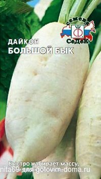 daikon-bolshoy-byk.jpg