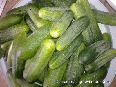 2 (400 x 300).jpg