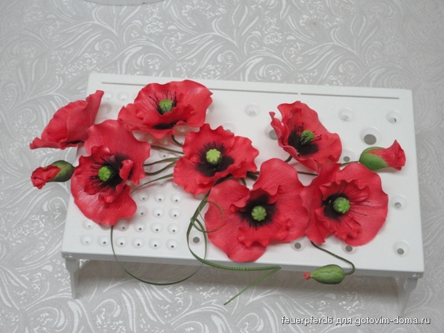 DSC05211 - Kopie.JPG