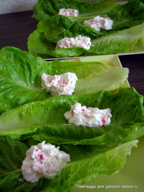 DSCN0373.JPG