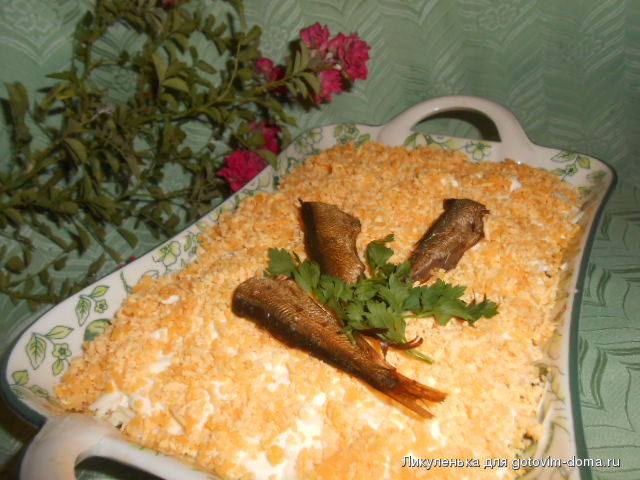 DSCN3363.JPG