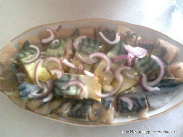 сельдь и скумбрия.jpg